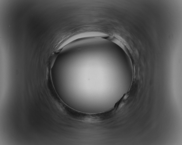 X0000086330109200704131730