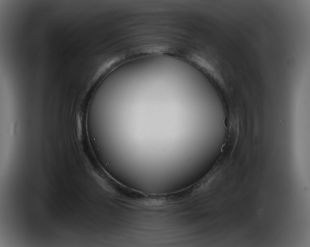 X0000086330110200704131730