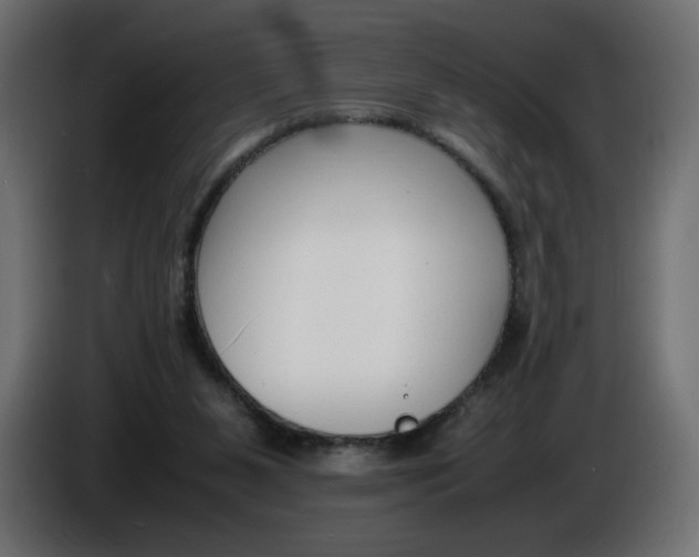 X0000086330111200704131730