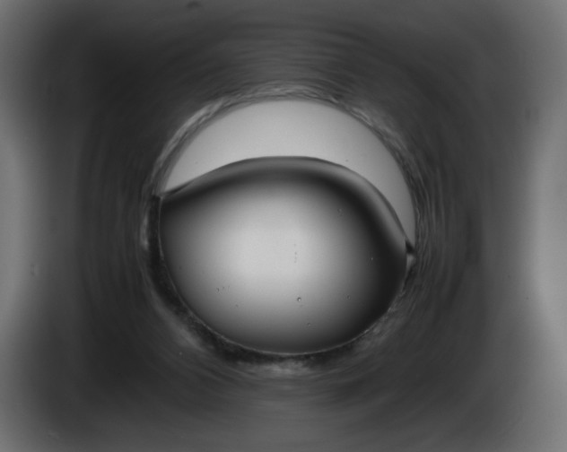 X0000086330112200704131730