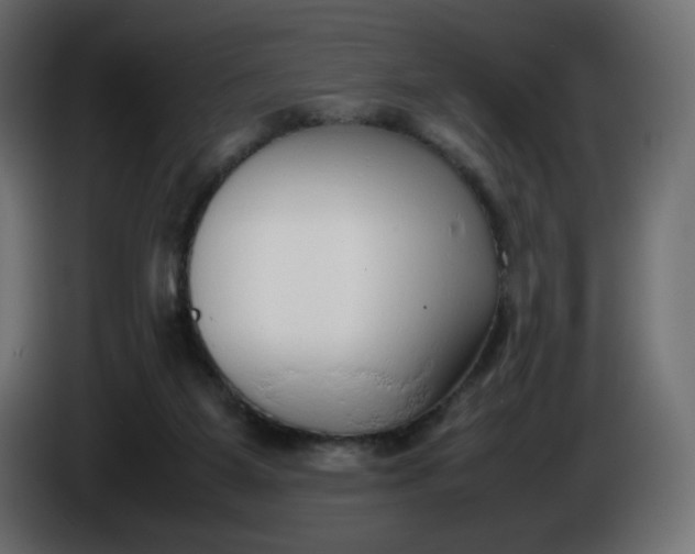 X0000086330115200704131730