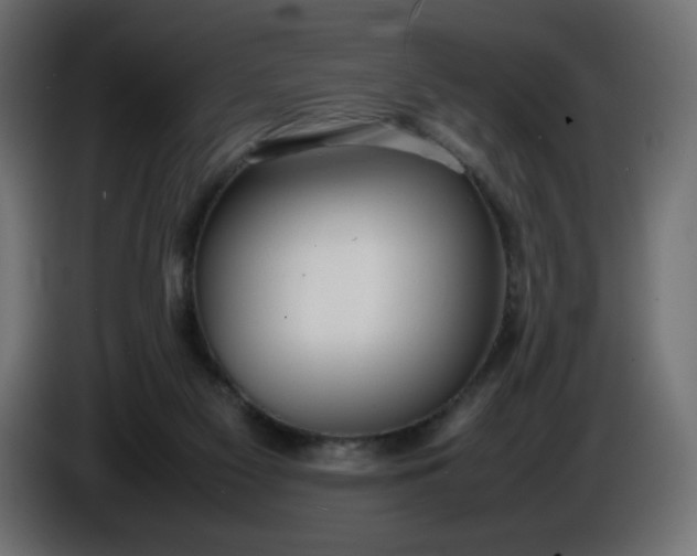 X0000086330117200704131730