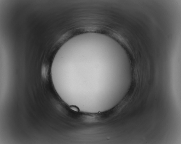 X0000086330118200704131730