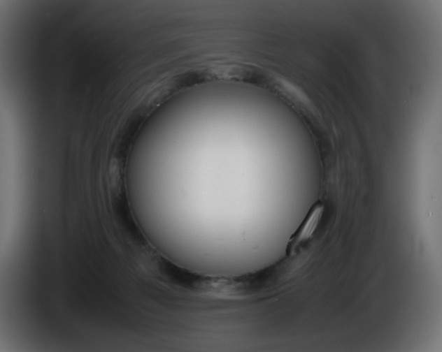 X0000086330121200704131730