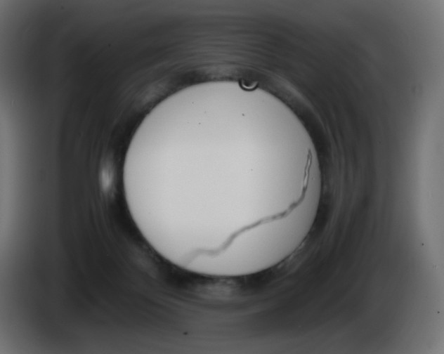 X0000086330124200704131730