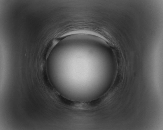 X0000086330125200704131730