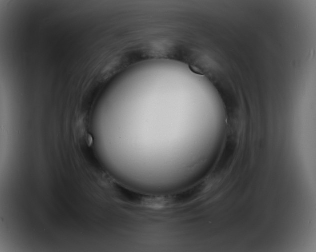 X0000086330131200704131730