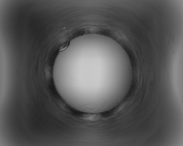 X0000086330135200704131730