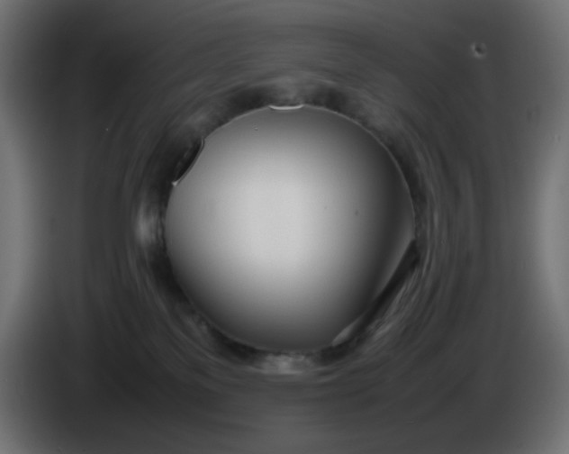 X0000086330137200704131730