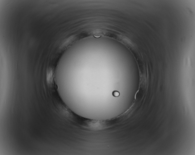 X0000086330142200704131730