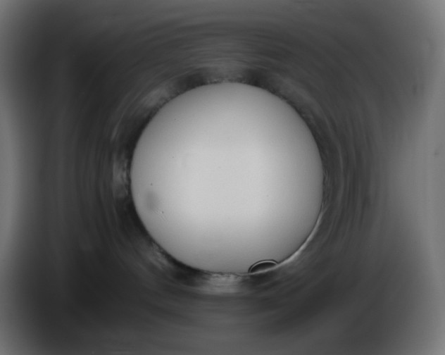 X0000086330144200704131729