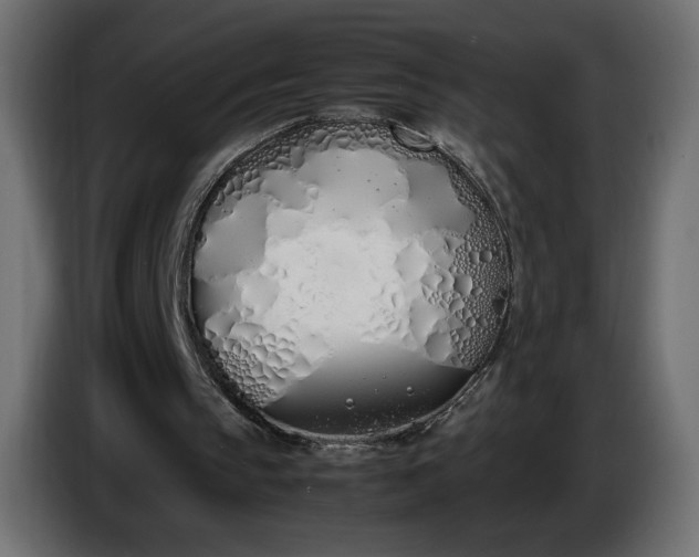 X0000086330145200704131729