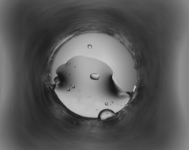 X0000086330146200704131729