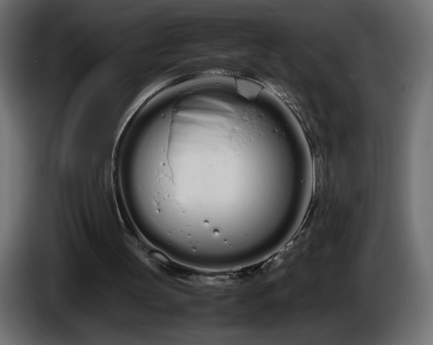 X0000086330147200704131729