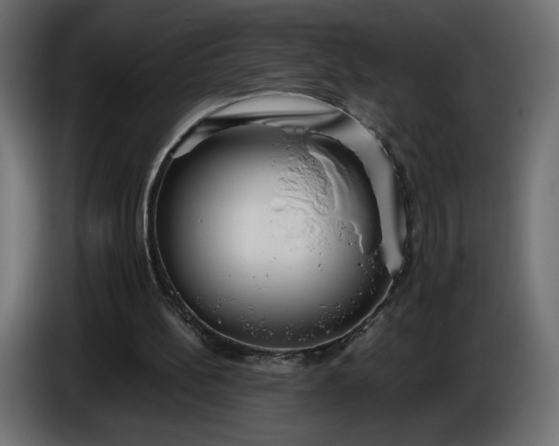 X0000086330148200704131729