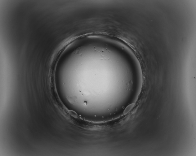 X0000086330149200704131729