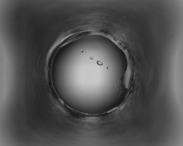 X0000086330150200704131729