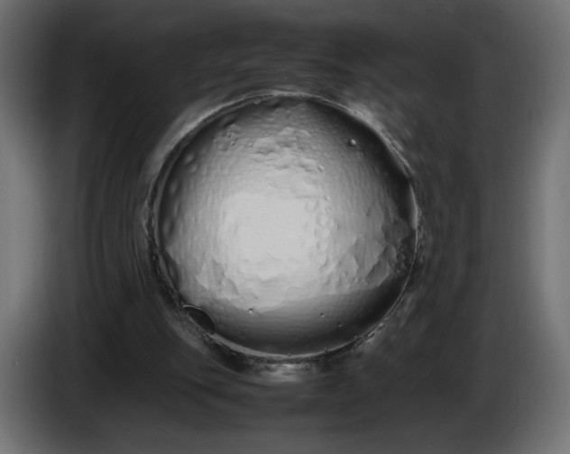 X0000086330151200704131729