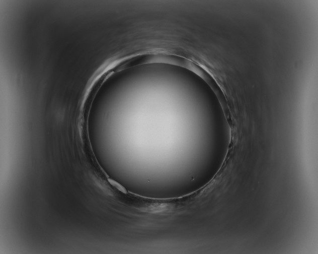 X0000086330152200704131729