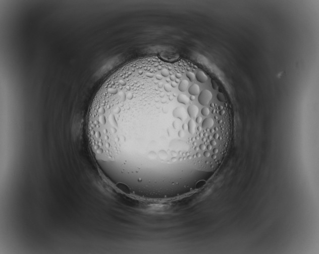 X0000086330153200704131729