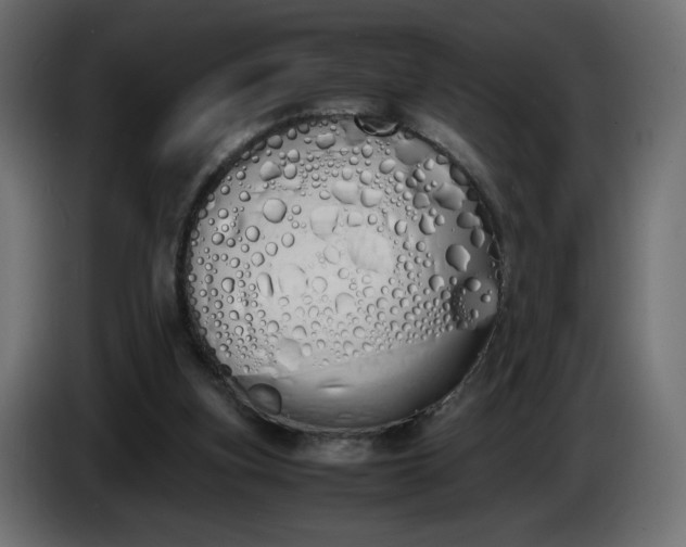 X0000086330155200704131729