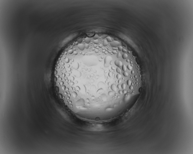 X0000086330159200704131729