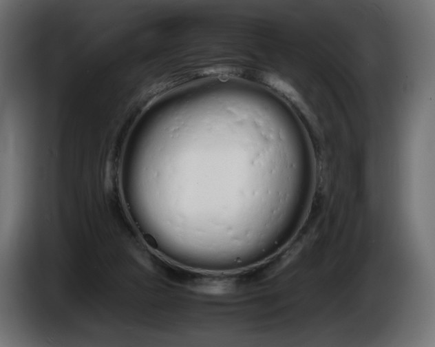 X0000086330161200704131729