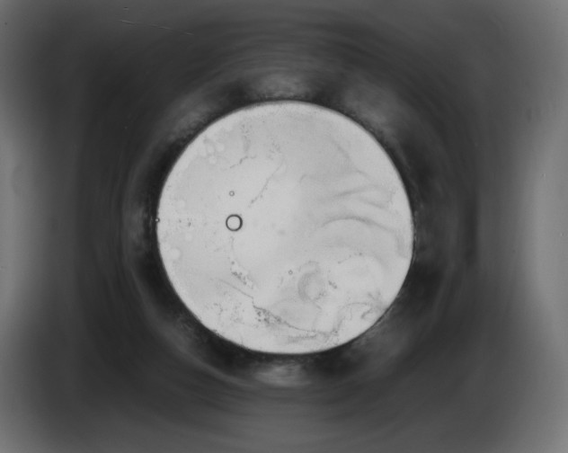 X0000086330162200704131729