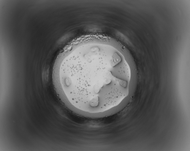 X0000086330163200704131729