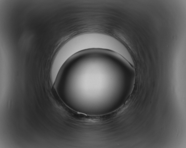 X0000086330164200704131729