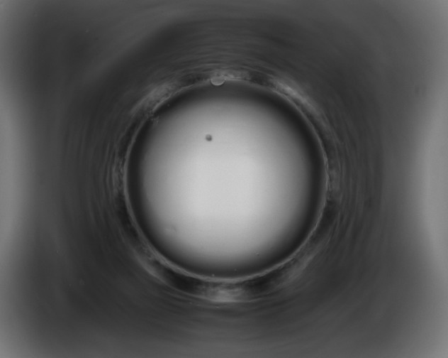 X0000086330165200704131729