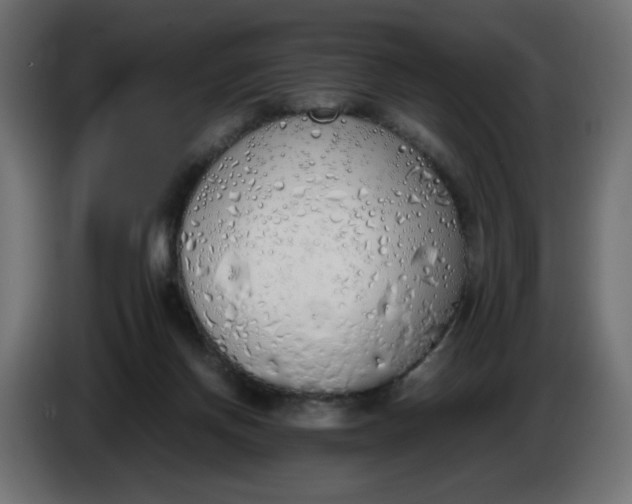 X0000086330166200704131729