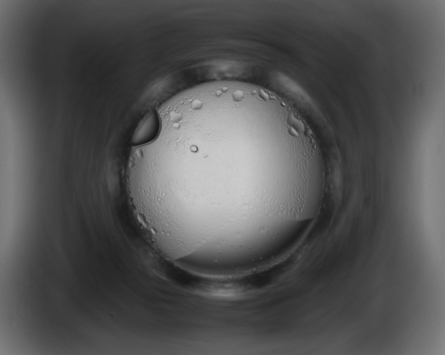 X0000086330169200704131729