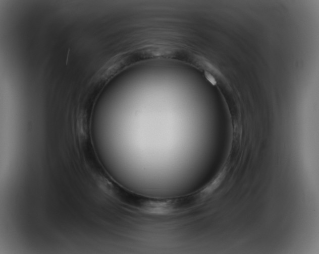 X0000086330170200704131729