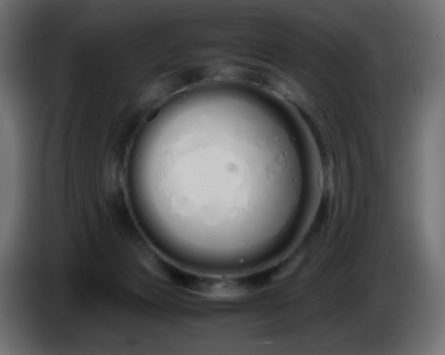 X0000086330173200704131729