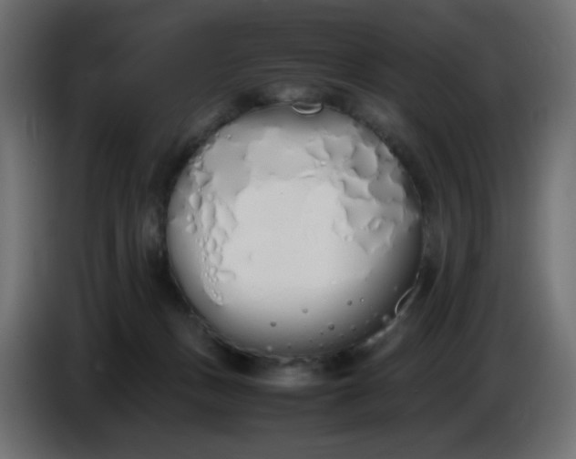 X0000086330175200704131729