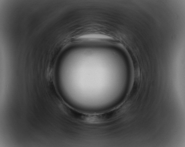 X0000086330177200704131729