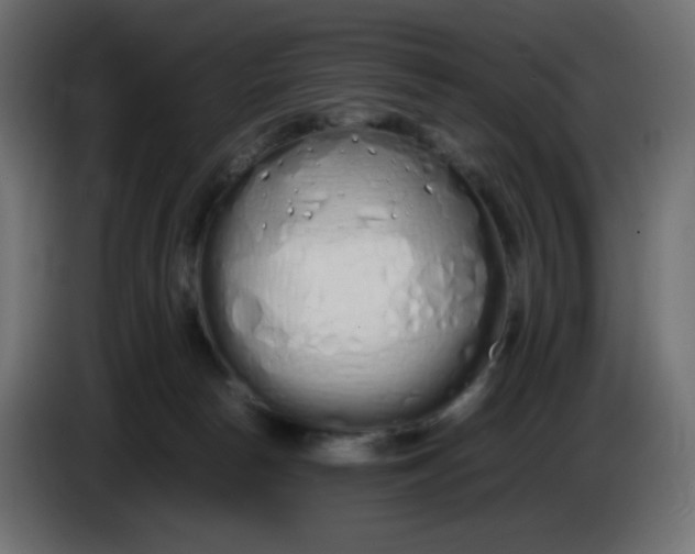 X0000086330178200704131729