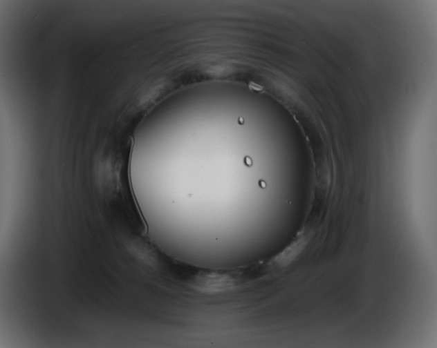 X0000086330180200704131729