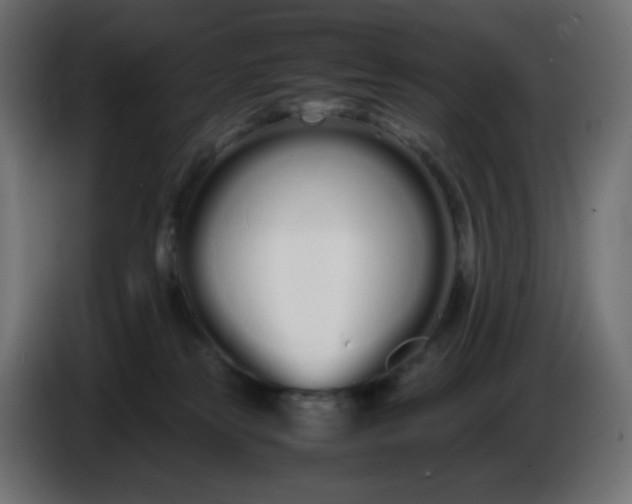 X0000086330181200704131729