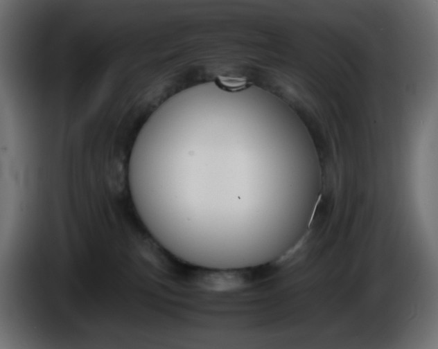 X0000086330183200704131729