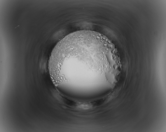 X0000086330185200704131729