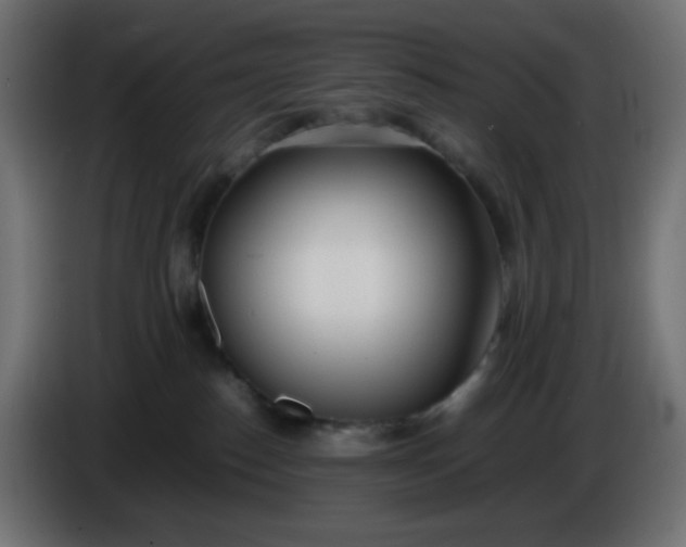 X0000086330186200704131729