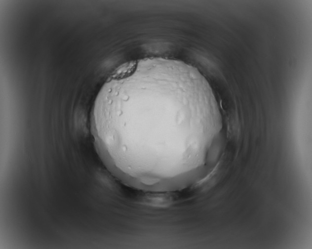 X0000086330187200704131729