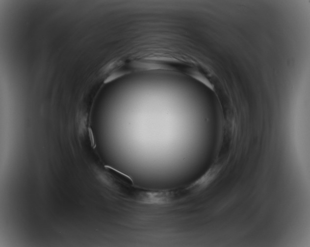 X0000086330188200704131729