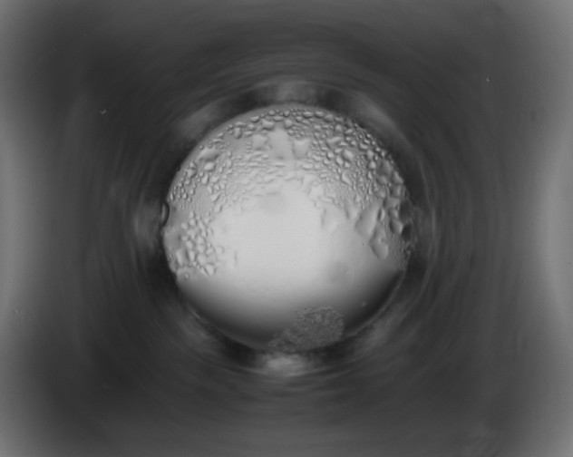 X0000086330189200704131729