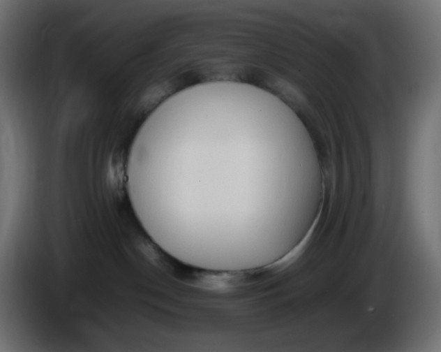 X0000086330190200704131729