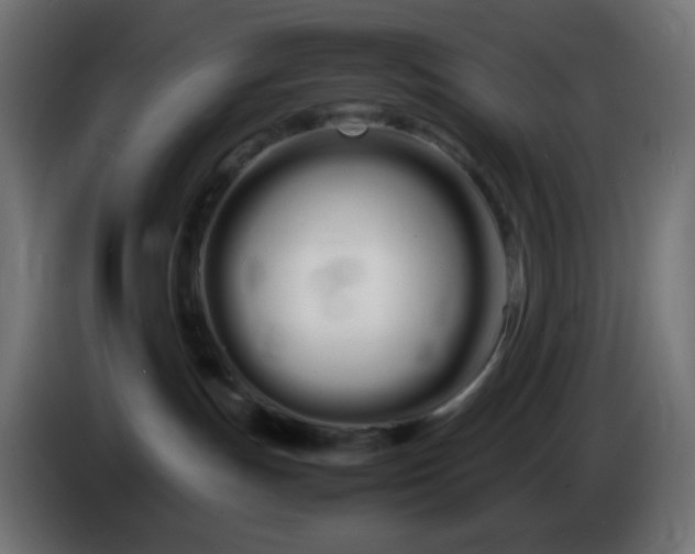 X0000086330191200704131729