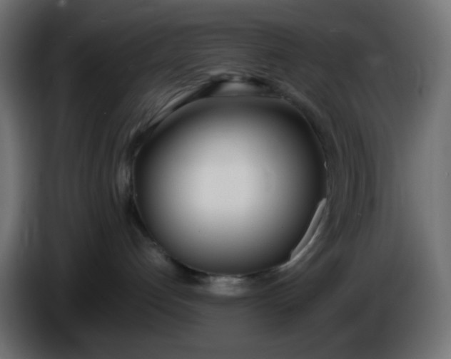 X0000086330192200704131729