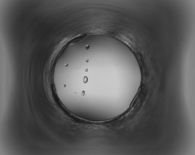 X0000086330193200704131729